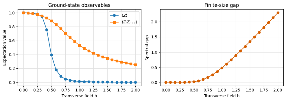 Notebook-generated spin observable sweep