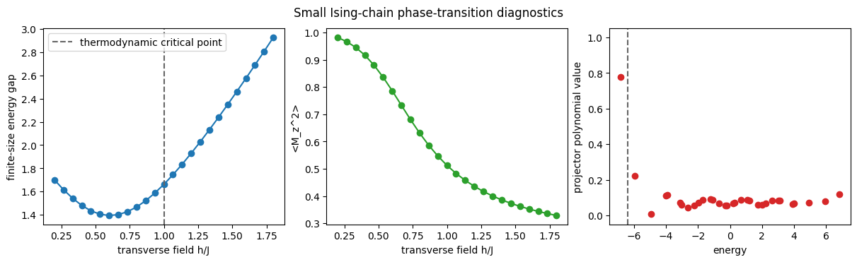 Transverse-Field Ising Phase Transition Filtering plot 2